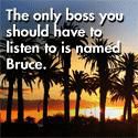 if you are sick and tired of hype, scams and online �programs� don�t work, then this will be the